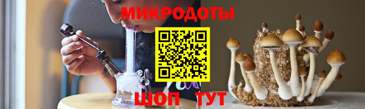 Буйнакск  Галлюциногенные грибы прущие грибы  Вход с VPN 